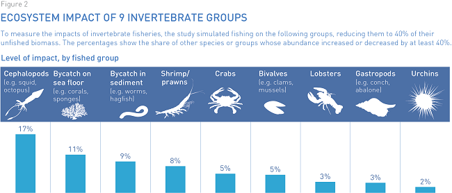 Invertebrate fisheries
