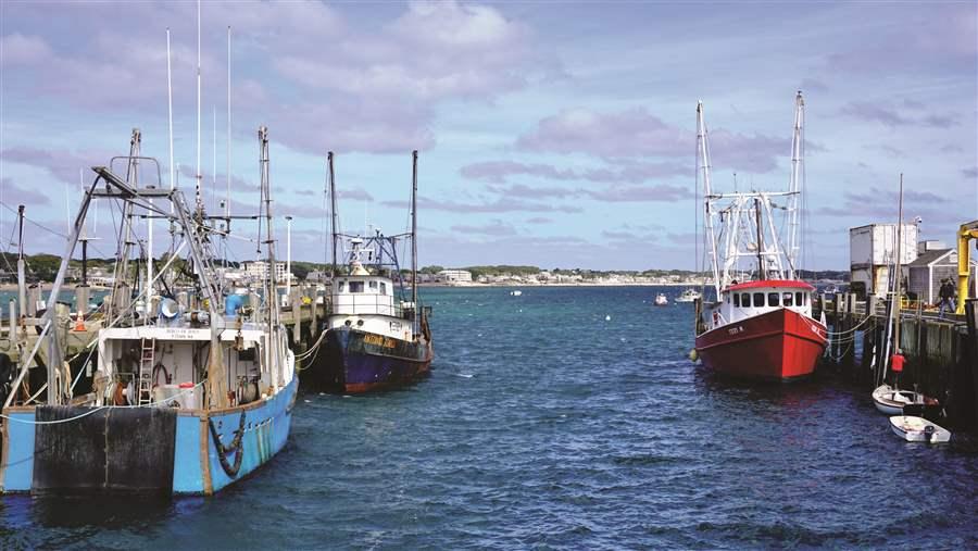 Fishery ecosystem plan