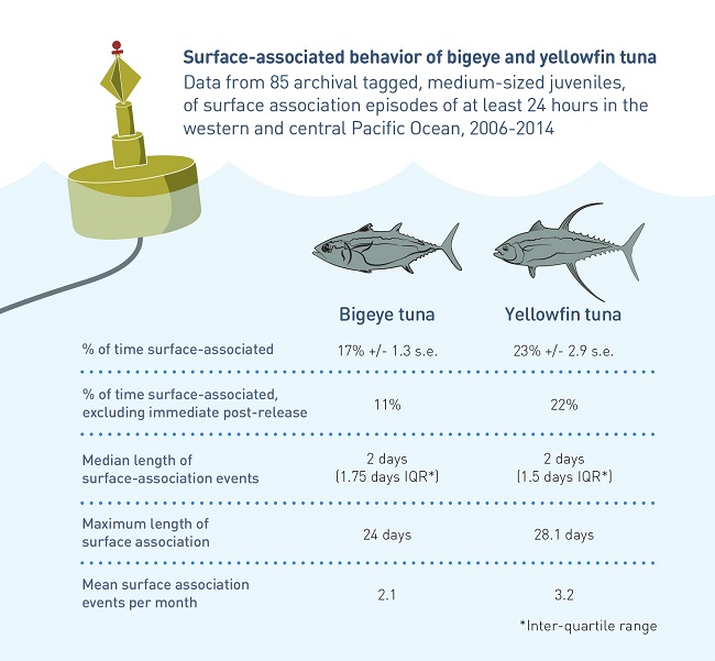 Juvenile Bigeye and Yellowfin Tuna