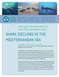 Shark Decline