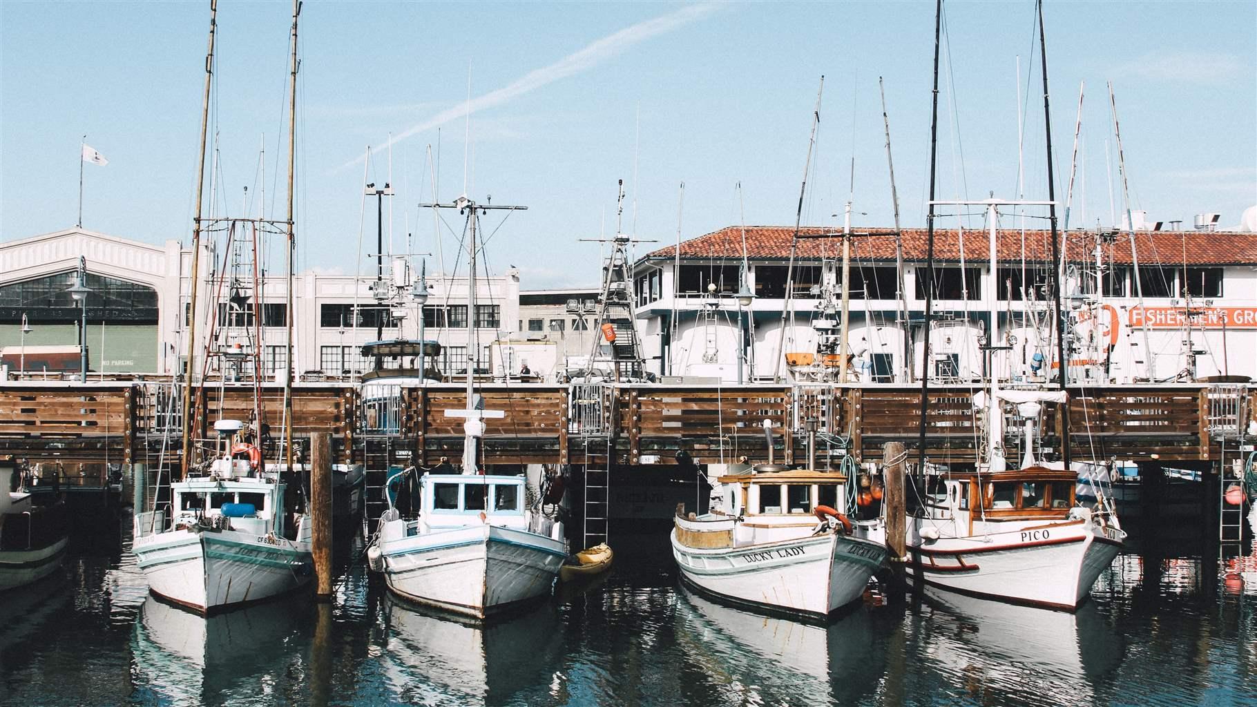 Docked boats