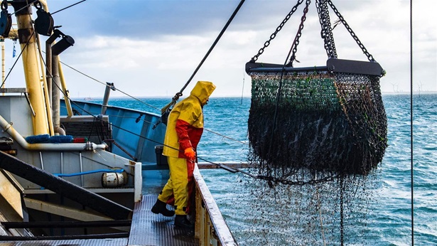 commercial fishing commercial fishing