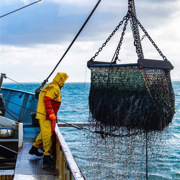 commercial fishing commercial fishing