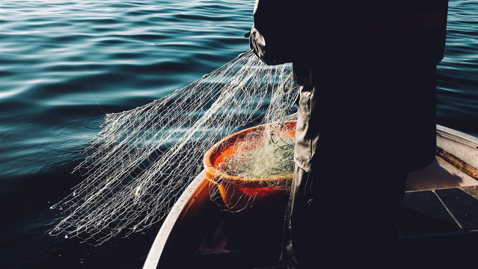 Fredrik Öhlander Unsplash