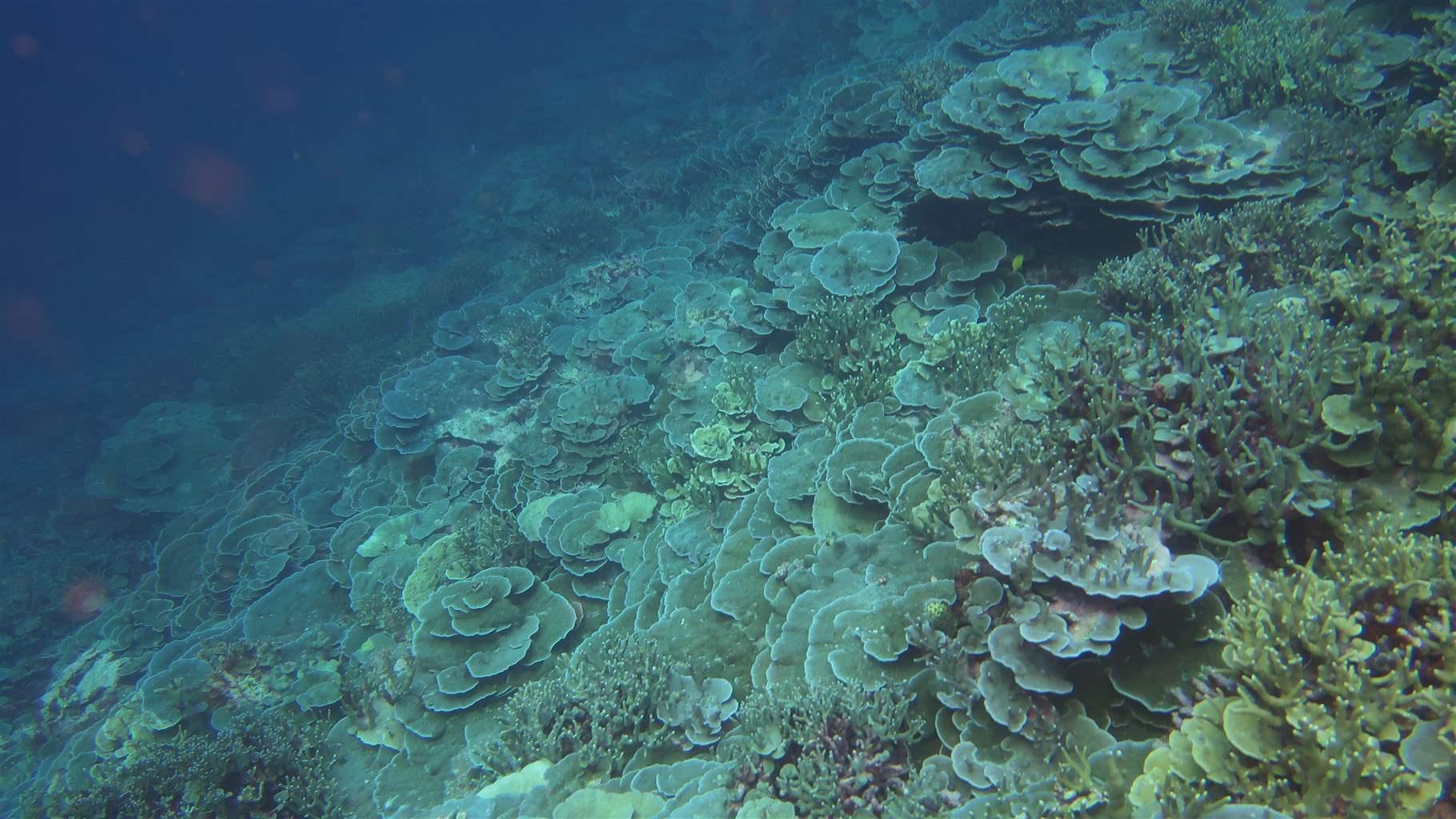 Research to Support Ecosystem Resilience and Fishing Livelihoods in