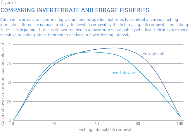 Invertebrate fisheries