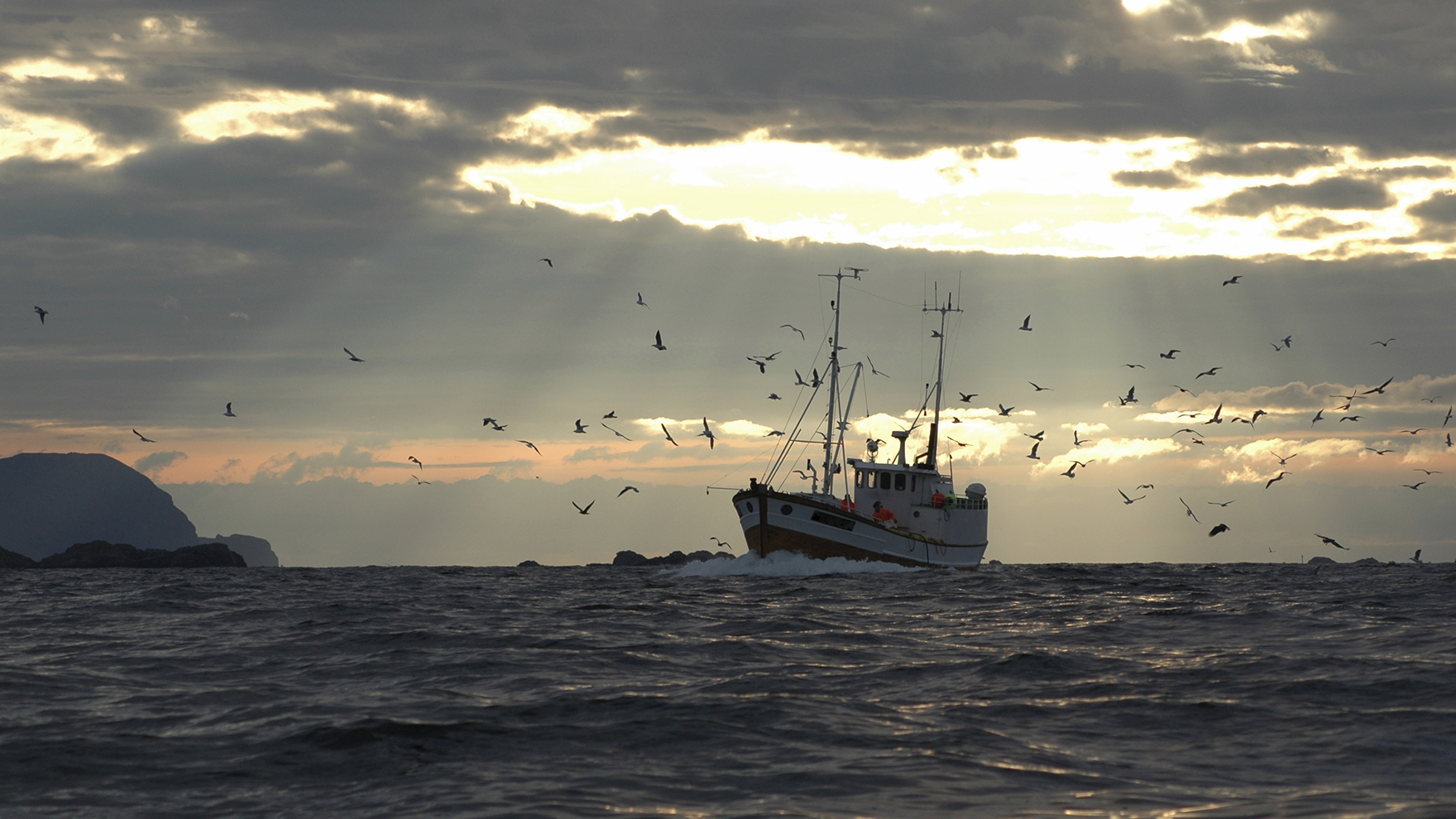 Marine Recreational Fishing Catch by Sector | Lenfest Ocean Program