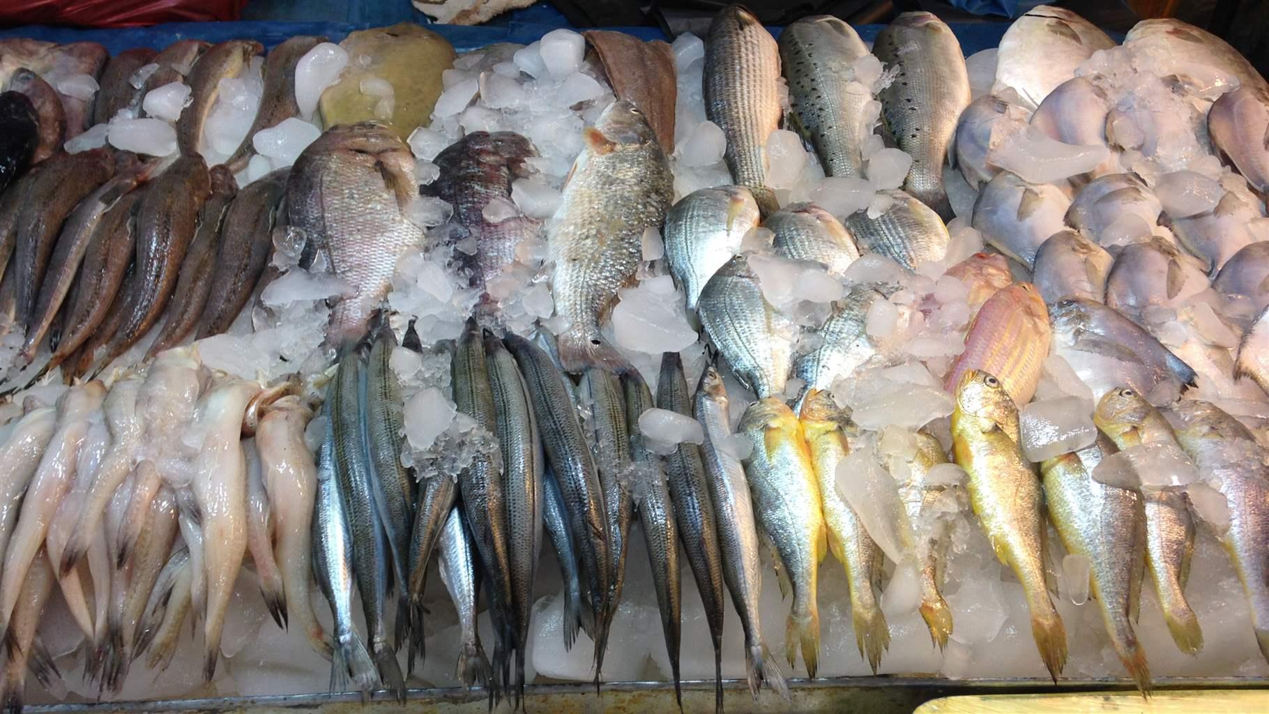 Beijing Fish Market