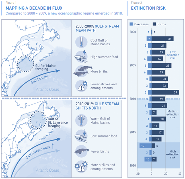 MAPPING A DECADE IN FLUX & EXTINCTION RISK