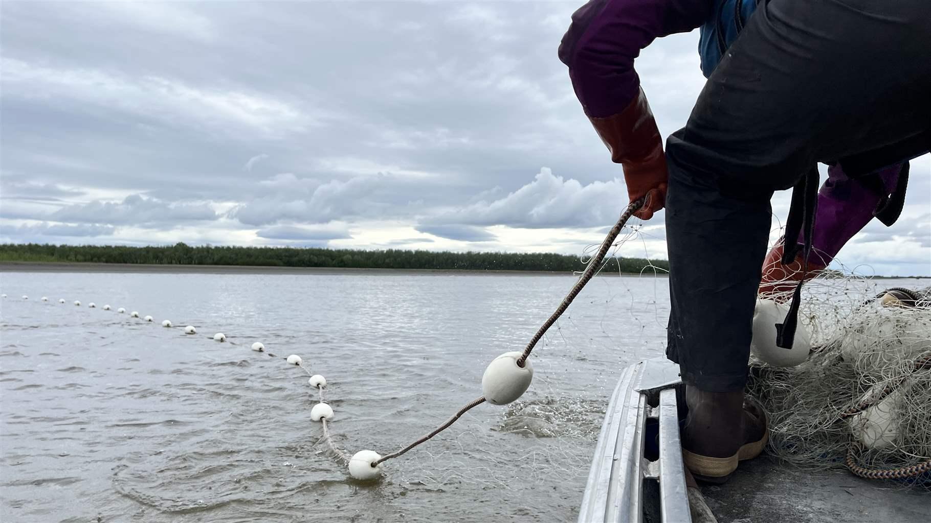 Advancing Inclusion of Indigenous Knowledge and Co-Stewardship of ...