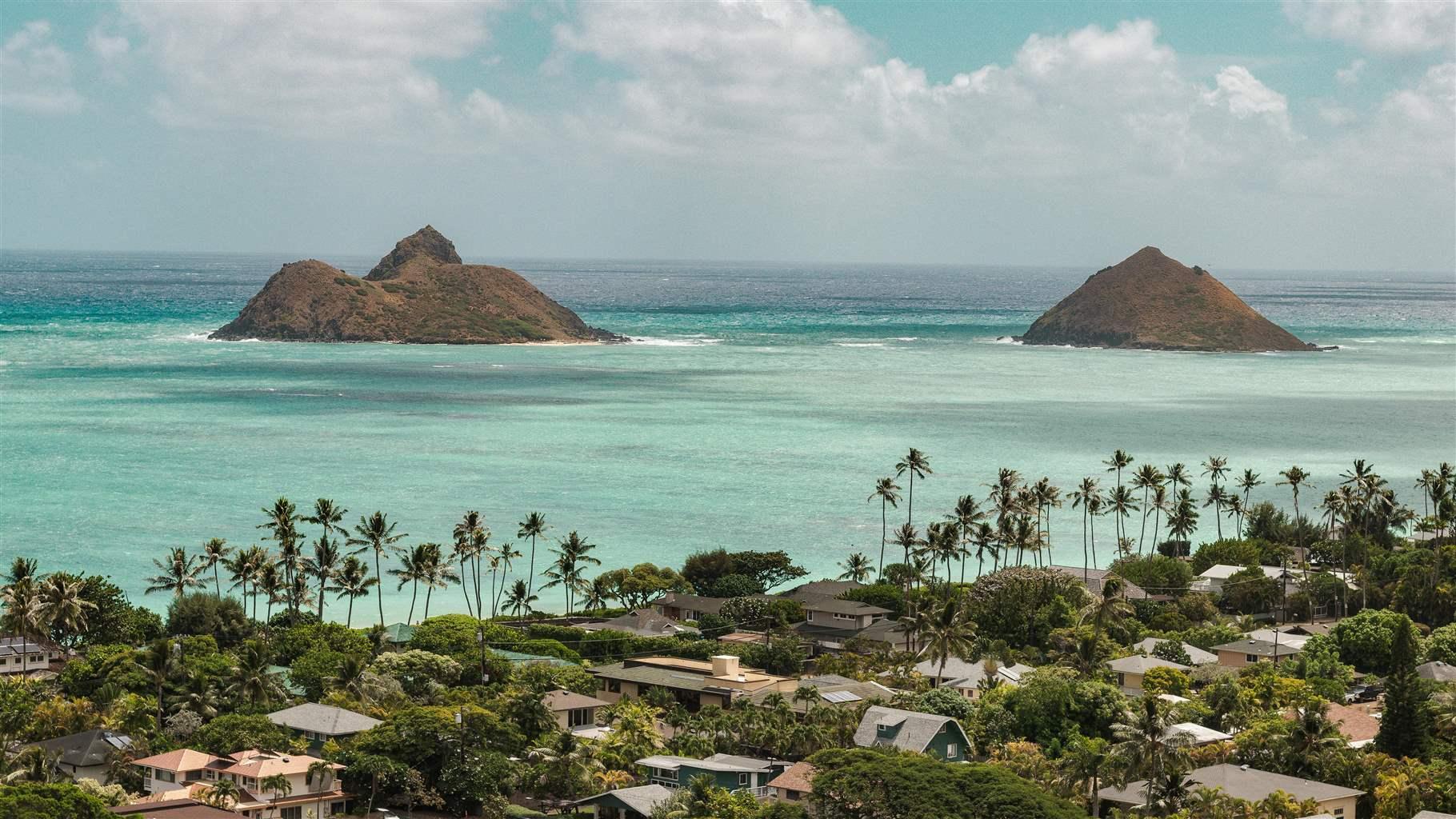 Conserving Ocean Life in America–Reflections from State Managers and ...